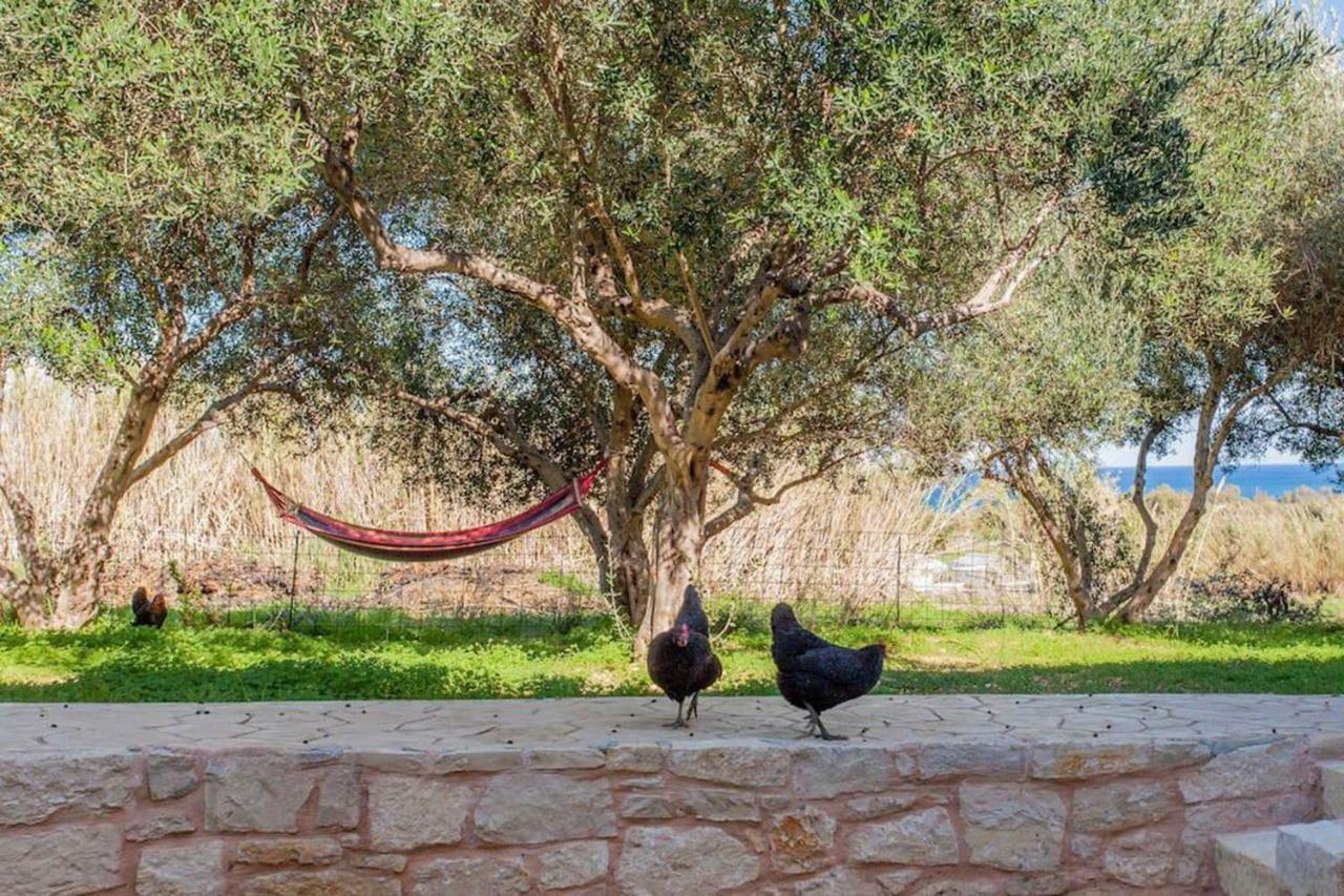 Olive Tree Farm 200M From The Beach Episkopi-Chania Exterior foto