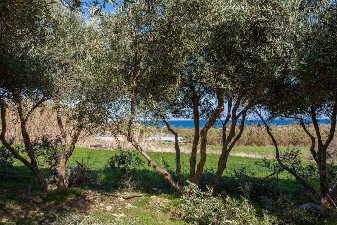 Olive Tree Farm 200M From The Beach Episkopi-Chania Exterior foto