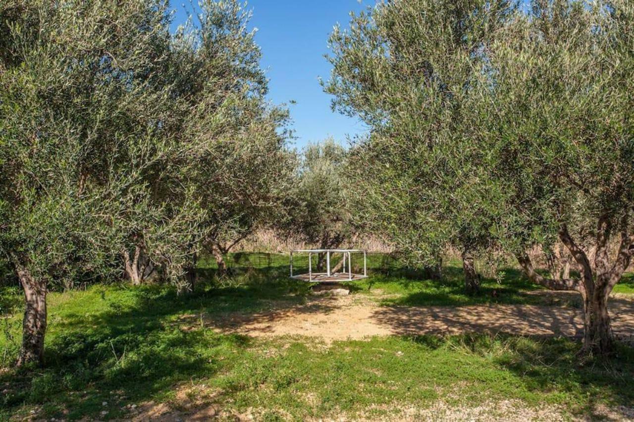 Olive Tree Farm 200M From The Beach Episkopi-Chania Exterior foto