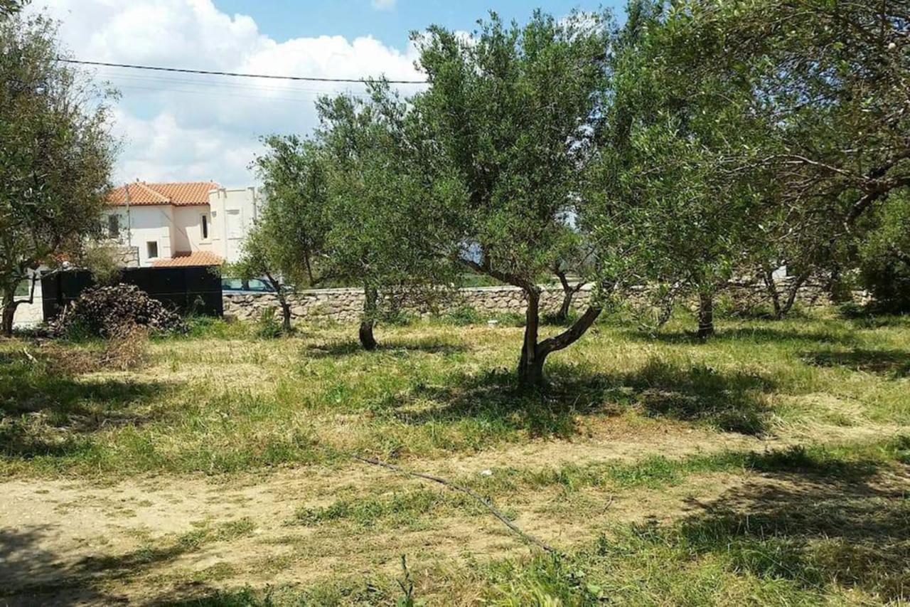 Olive Tree Farm 200M From The Beach Episkopi-Chania Exterior foto