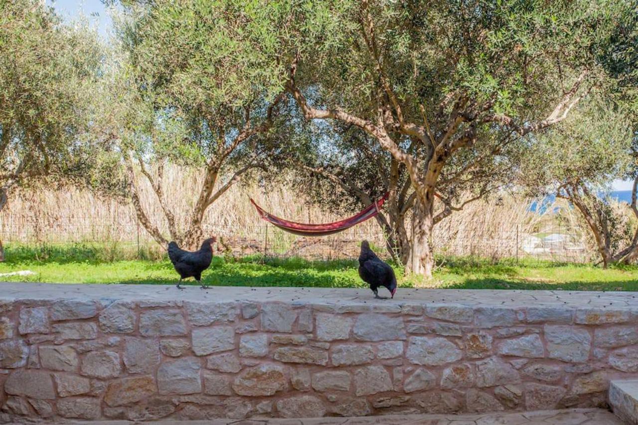 Olive Tree Farm 200M From The Beach Episkopi-Chania Exterior foto
